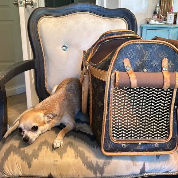 Louis Vuitton | Dog Carrier 40 - Picture 8 of 8